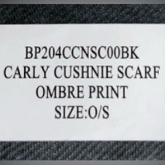 NWT-Cushnie One Size Grey Horizon Ombre Scarf Women's Rachel Zoe Curateur Box - Picture 4 of 9